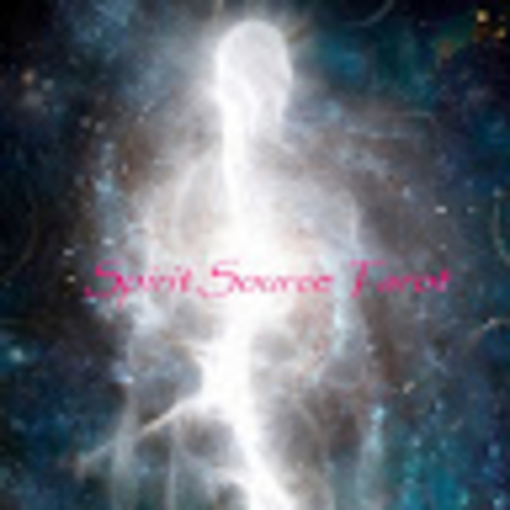 Meet your Posher, Spirit source